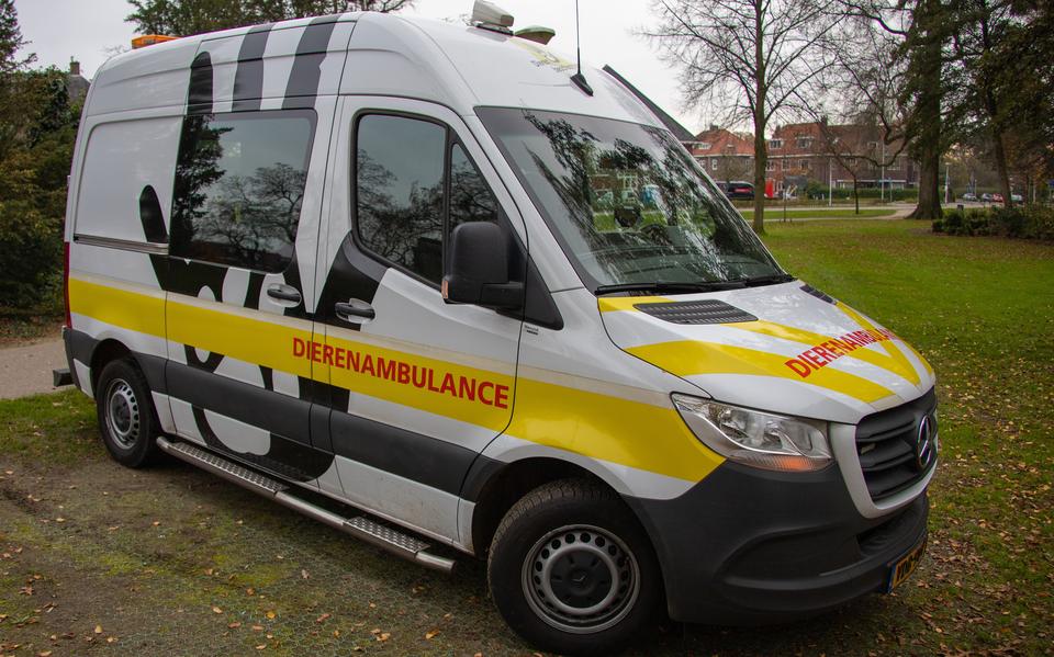 Hoe een dierenambulance in Zuid-Drenthe al maandenlang chaos&nbsp;veroorzaakt
